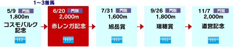 体系図 ~ホッカイドウ競馬3歳以上 カウントアップM(ミドル・マイル)~
