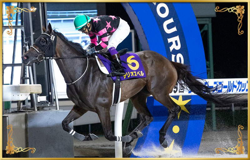 2023年優勝馬 テリオスベル号