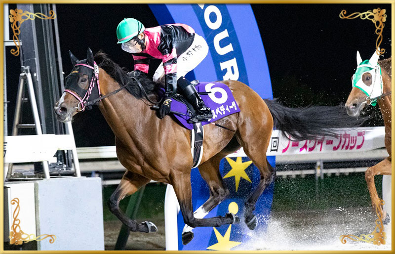 2023年優勝馬 レスペディーザ号
