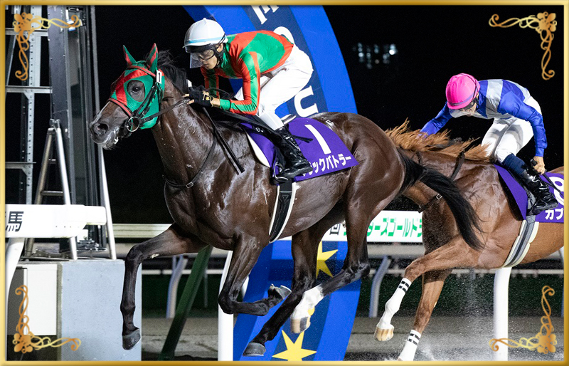 2023年優勝馬 ブラックバトラー号