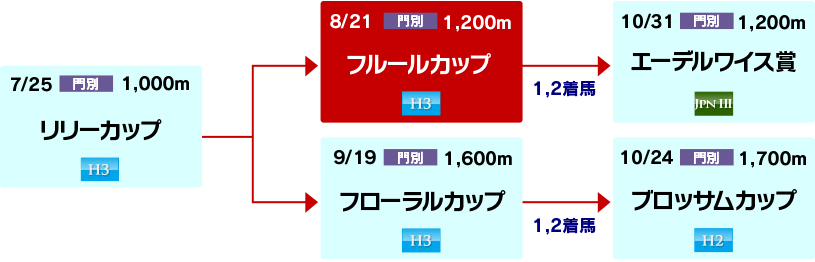 体系図 ~ホッカイドウ競馬2歳牝馬~