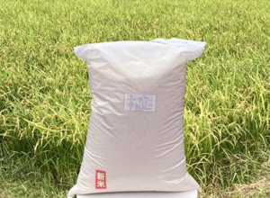 蓮田産コシヒカリ(10kg)