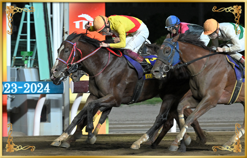 2023年優勝馬 ギシギシ号(中央)