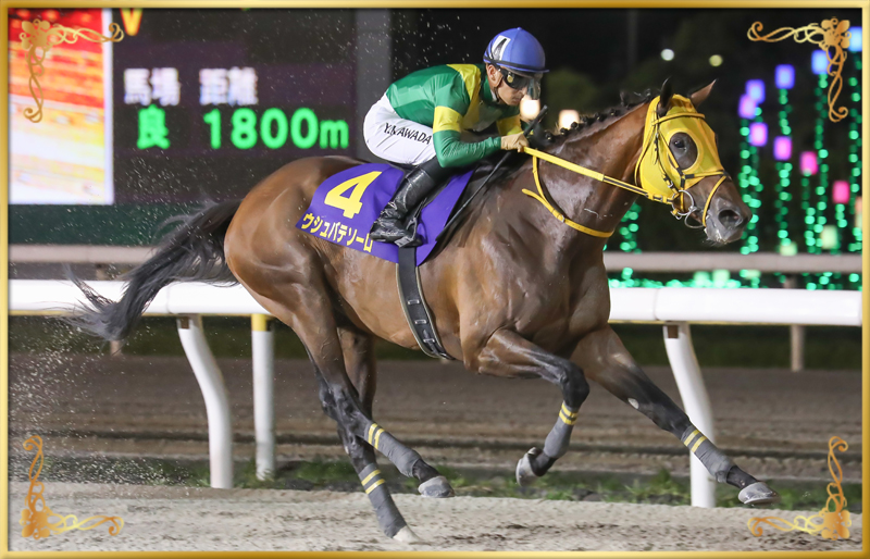 2023年優勝馬 ウシュバテソーロ号
