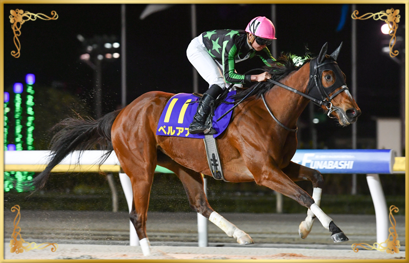 2023年優勝馬 ペルアア号