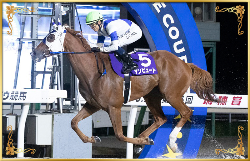 2023年優勝馬 サンビュート号
