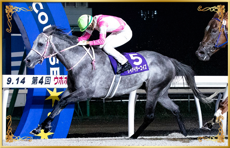 2023年優勝馬　ケイアイターコイズ号