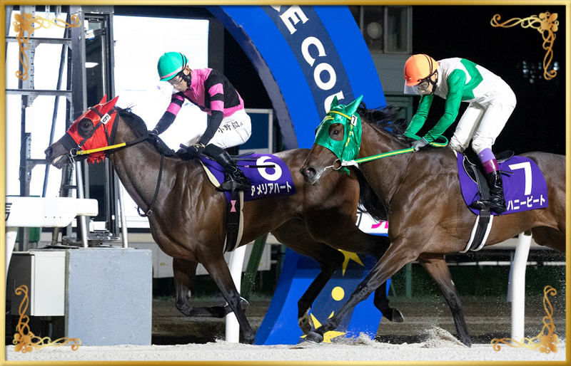 2023年優勝馬 アメリアハート号
