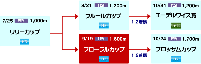 体系図 ~ホッカイドウ競馬2歳牝馬~