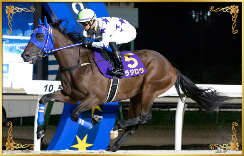 2023年優勝馬 トラジロウ号