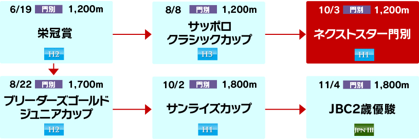 体系図 ~ホッカイドウ競馬2歳~