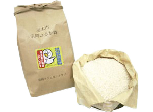 宗岡はるか舞(5kg)