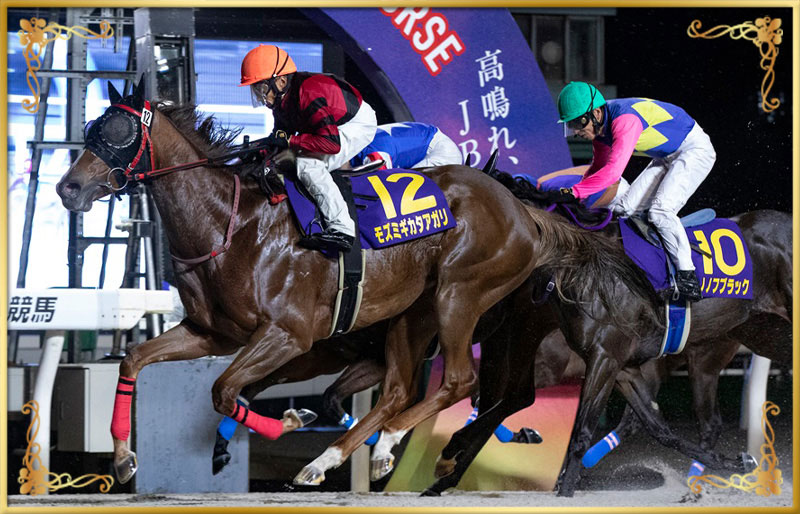 2023年優勝馬　モズミギカタアガリ号
