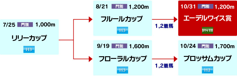 体系図　～ホッカイドウ競馬2歳牝馬～