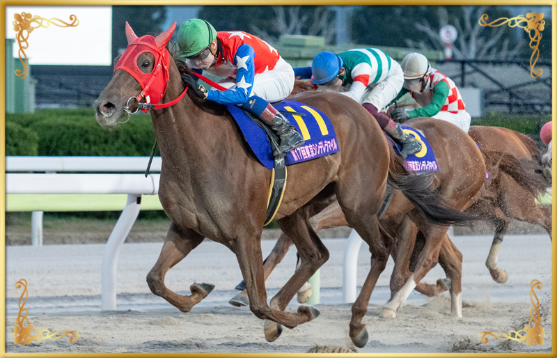 2023年優勝馬 スピーディキック号