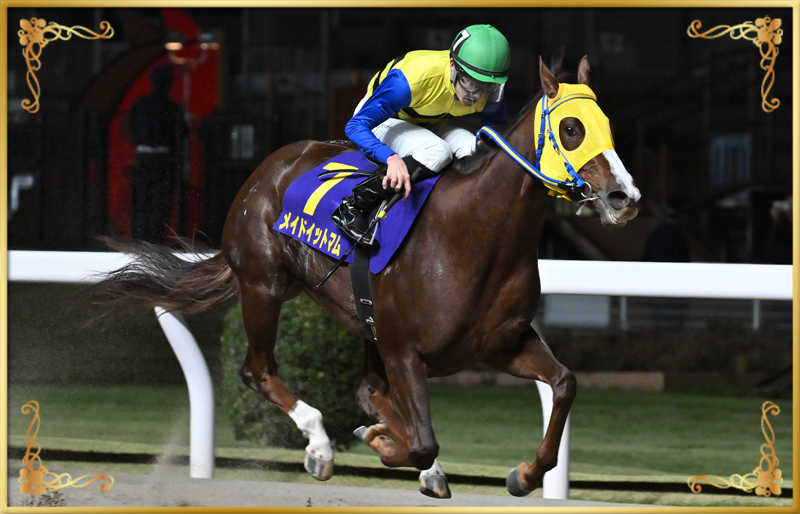 2023年優勝馬 メイドイットマム号