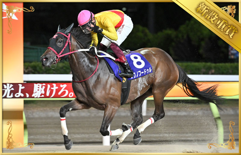 2023年優勝馬 フクノフードゥル号