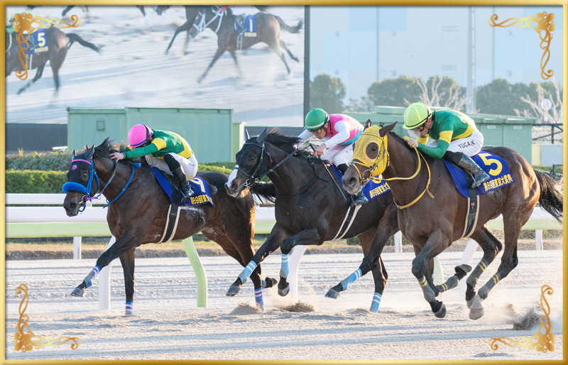 2023年優勝馬 ウシュバテソーロ号(大外)