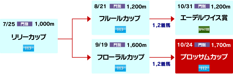 体系図 ~ホッカイドウ競馬2歳牝馬~