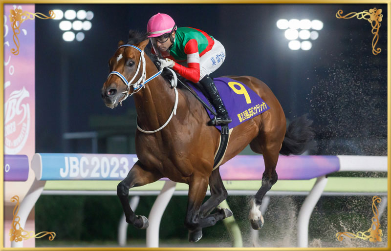 2023年優勝馬 キングズソード号