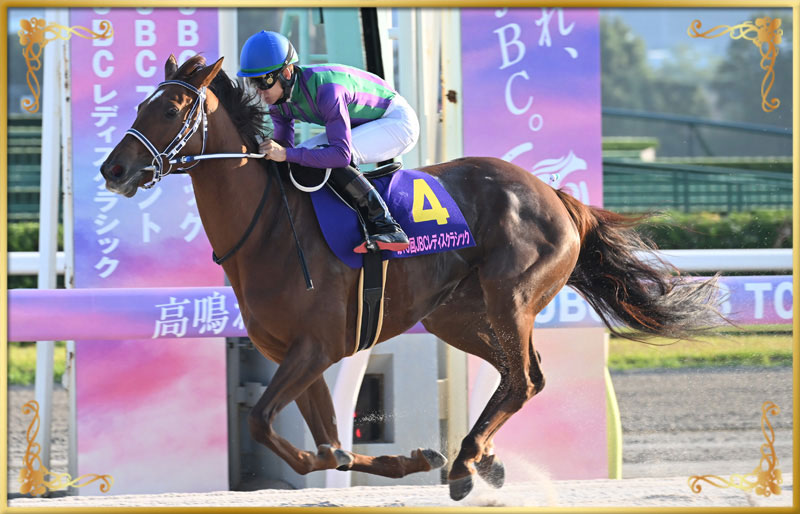 2023年優勝馬 アイコンテーラー号