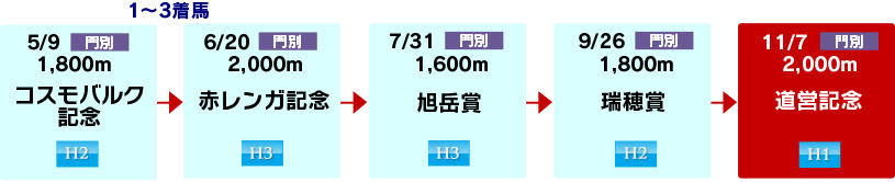 体系図 ~ホッカイドウ競馬3歳以上 カウントアップM(ミドル・マイル)~