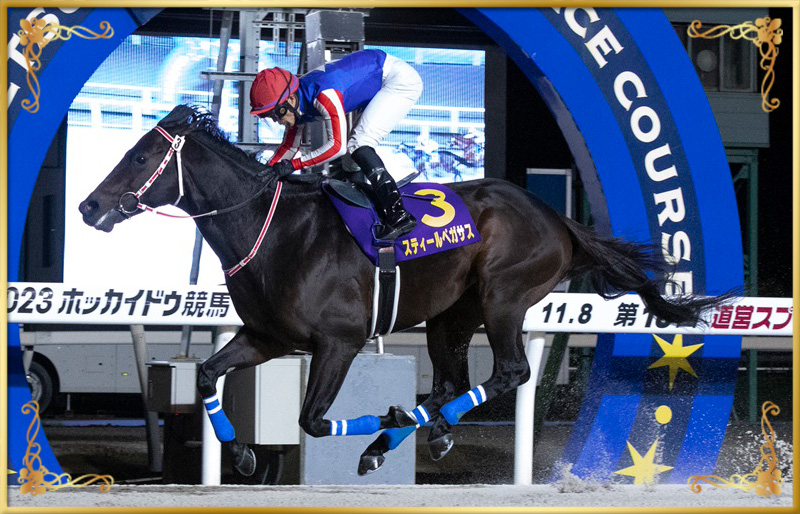 2023年優勝馬 スティールペガサス号