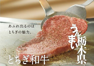 「とちぎ和牛ギフトセット(1万円相当)」