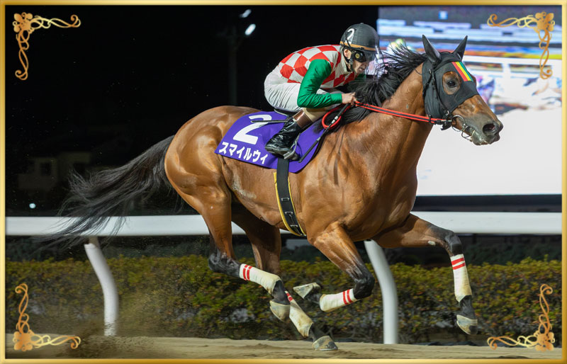 2023年優勝馬 スマイルウィ号