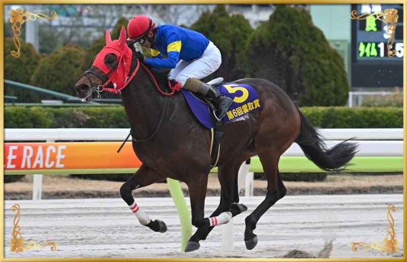 2024年優勝馬 ブルーサン号