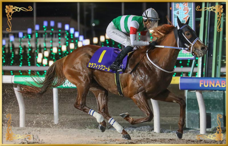2024年優勝馬 セラフィックコール号