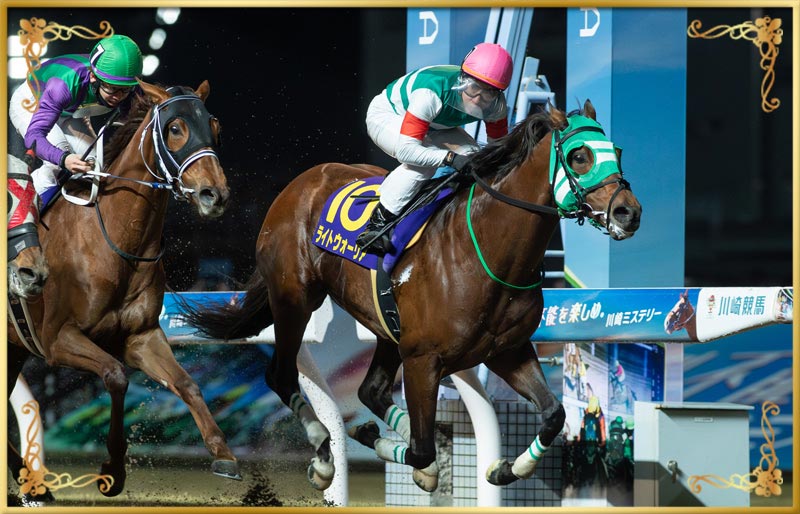2024年優勝馬 ライトウォーリア号