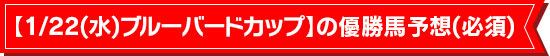 【1/22(水)ブルーバードカップ】の優勝馬予想(必須)