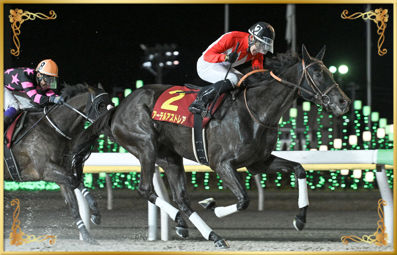 2024年優勝馬 アーテルアストレア号