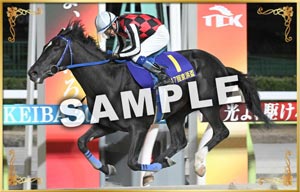 優勝馬写真パネル