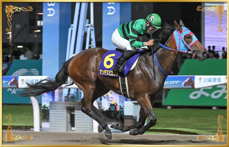 2024年優勝馬 アンデスビエント号