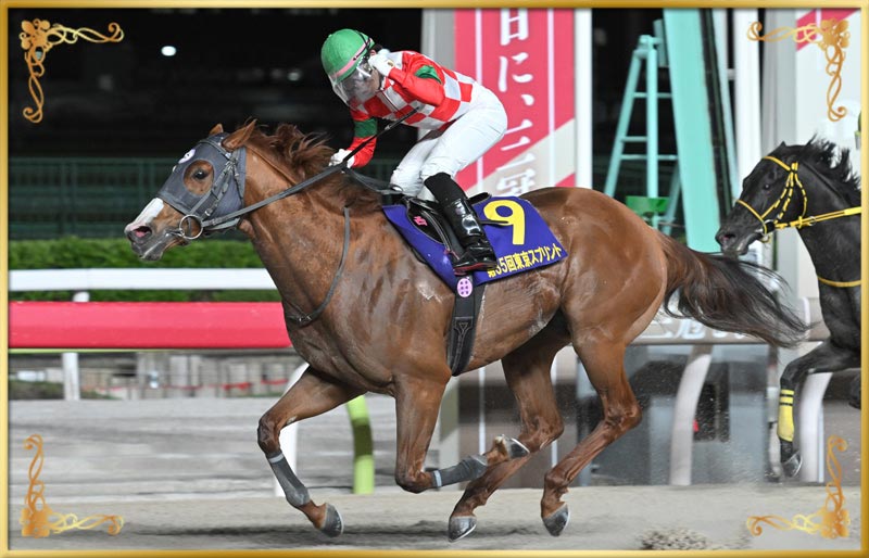 2024年優勝馬 ジャスティン号