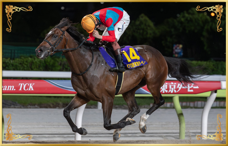 2024年優勝馬 ラムジェット号