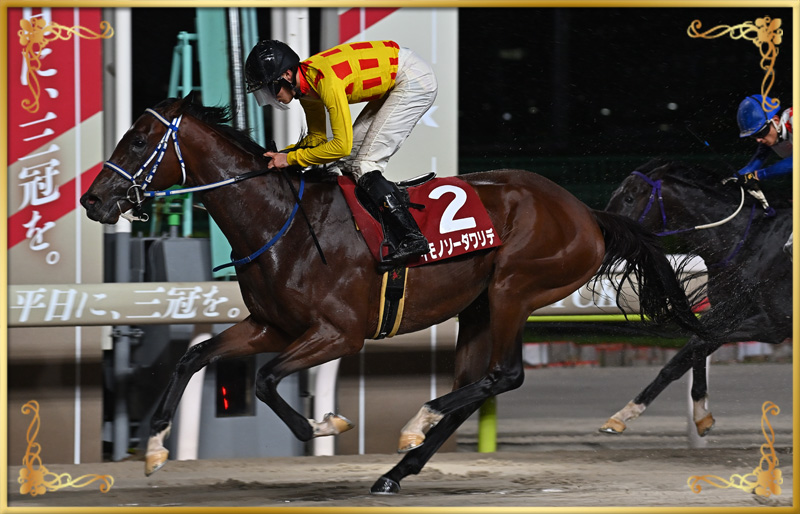 2024年優勝馬 イモノソーダワリデ号(特別区競馬組合提供)