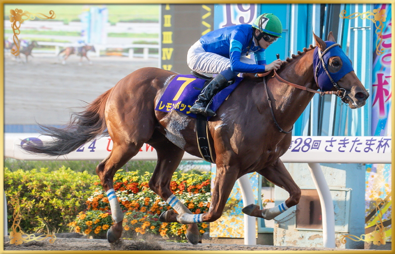 2024年優勝馬 レモンポップ号