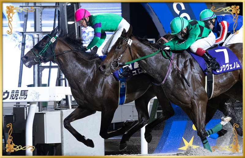 2024年優勝馬 シュロス号(内)