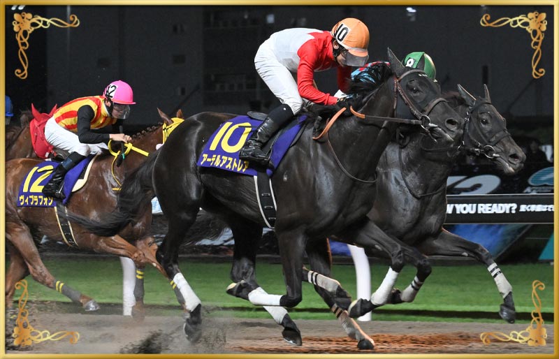 2024年優勝馬 アーテルアストレア号
