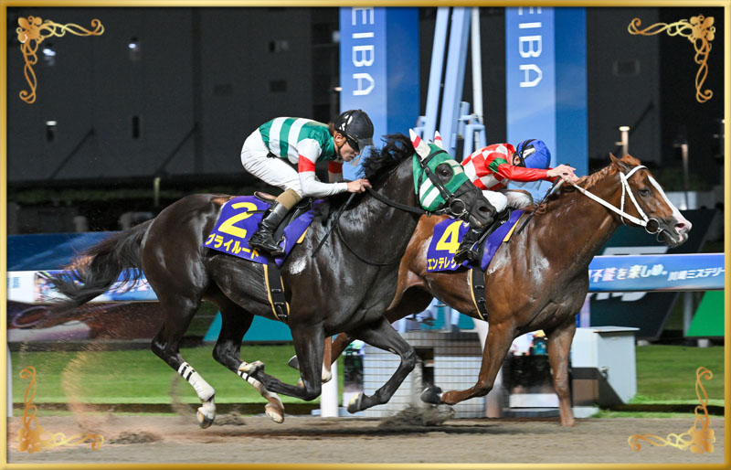2024年優勝馬 プライルード号(外)