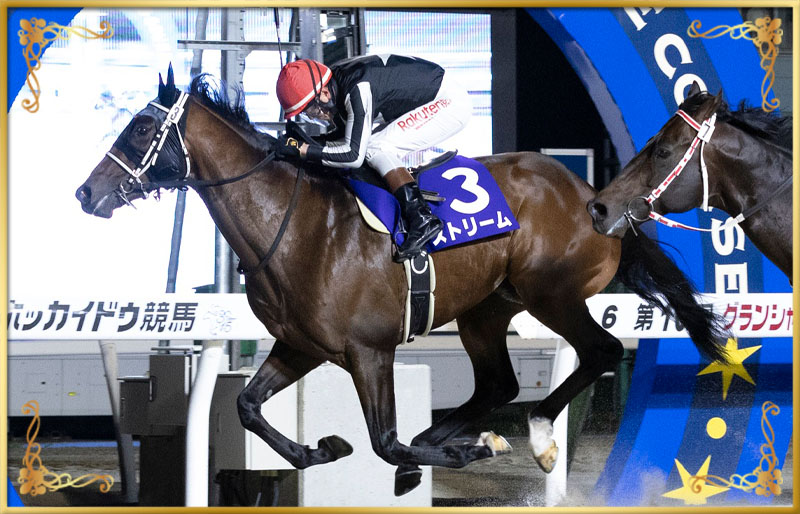 2024年優勝馬 ストリーム号