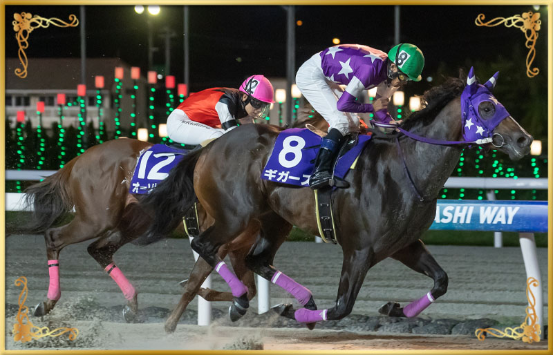 2024年優勝馬 ギガース号
