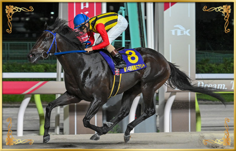 2024年優勝馬 ティントレット号