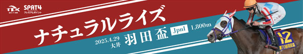 「3歳ダート三冠マフラータオル(東京ダービー)」
