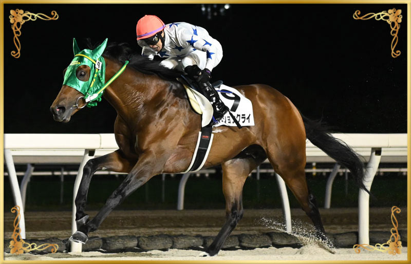 2024年優勝馬 パッションクライ号