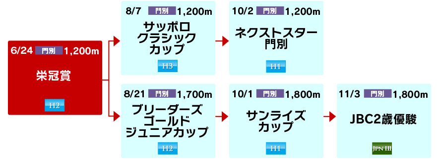 体系図　～ホッカイドウ競馬2歳～