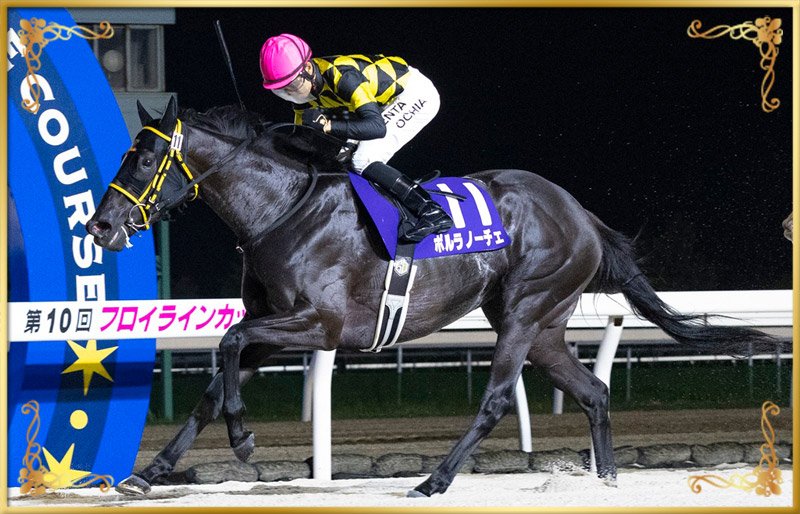 2024年優勝馬 ポルラノーチェ号